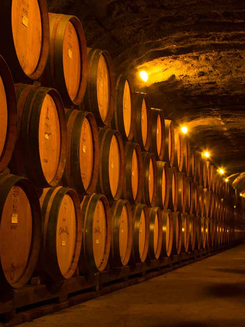 Appellation Wine Tours Queenstown New Zealand 1