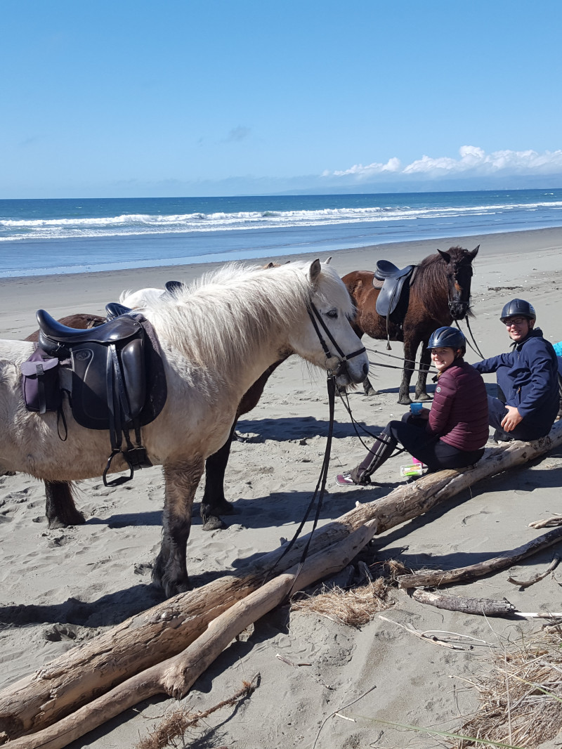 Icelandic Horse Treks 2