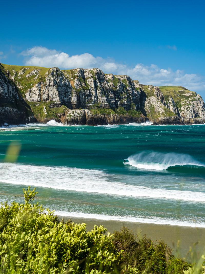 Clutha NZ - Official Website 5