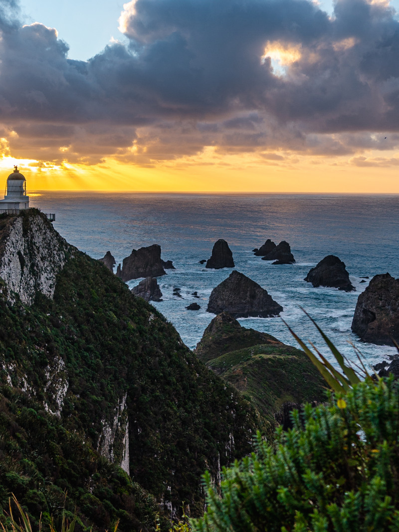 Clutha NZ - Official Website 1