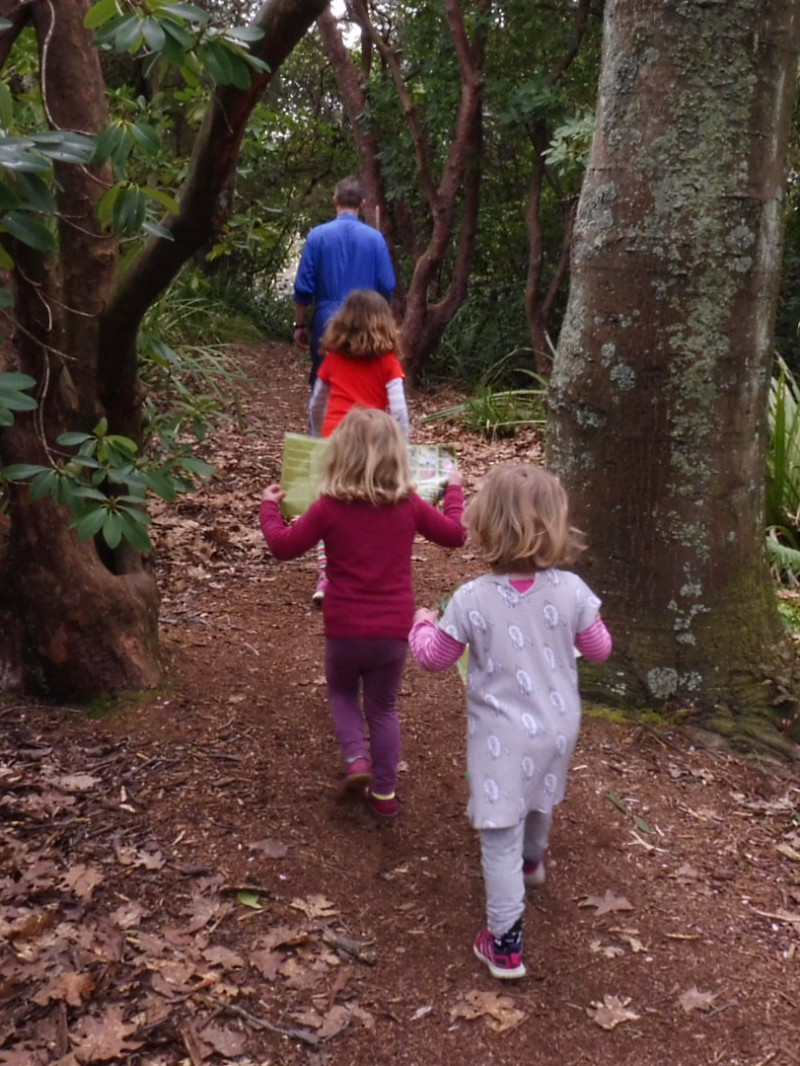 Dunedin Botanic Garden 4