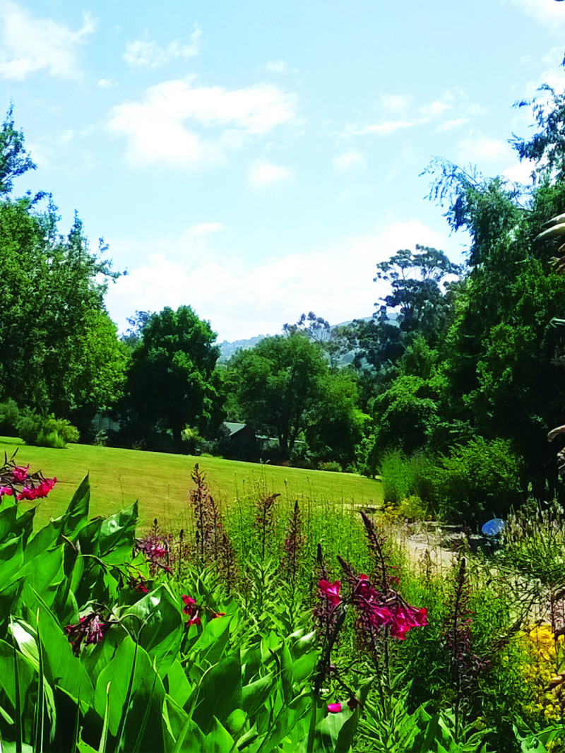 Dunedin Botanic Garden 8