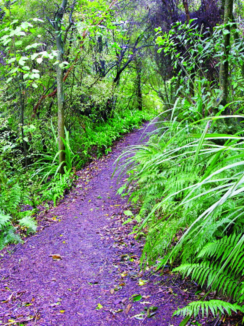 Dunedin Botanic Garden 7