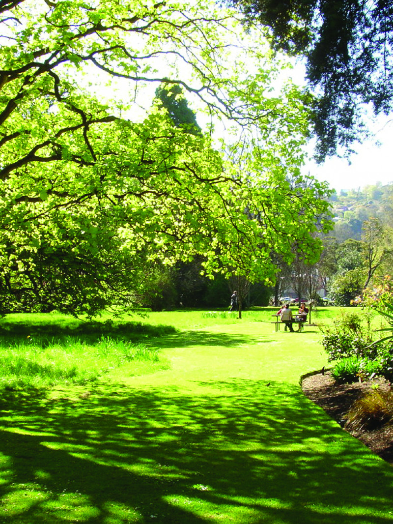 Dunedin Botanic Garden 10