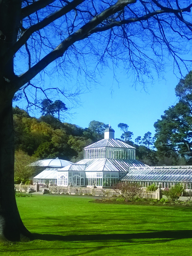Dunedin Botanic Garden 12