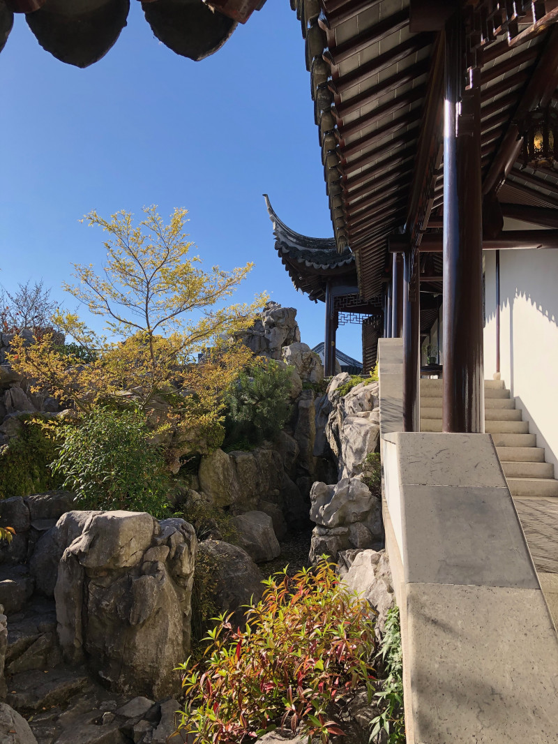 Lan Yuan Dunedin Chinese Garden 1