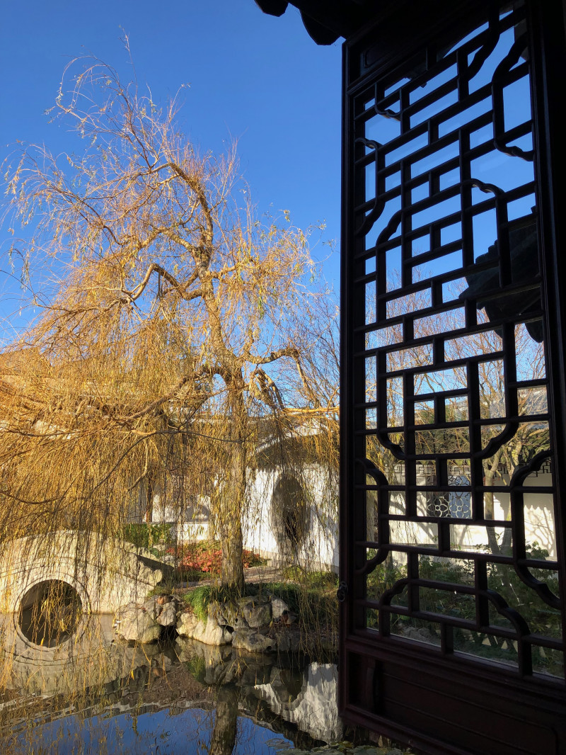 Lan Yuan Dunedin Chinese Garden 2