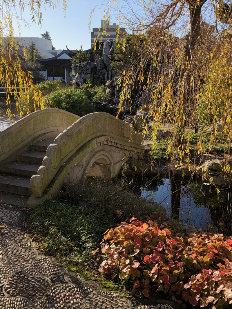 Lan Yuan Dunedin Chinese Garden 3