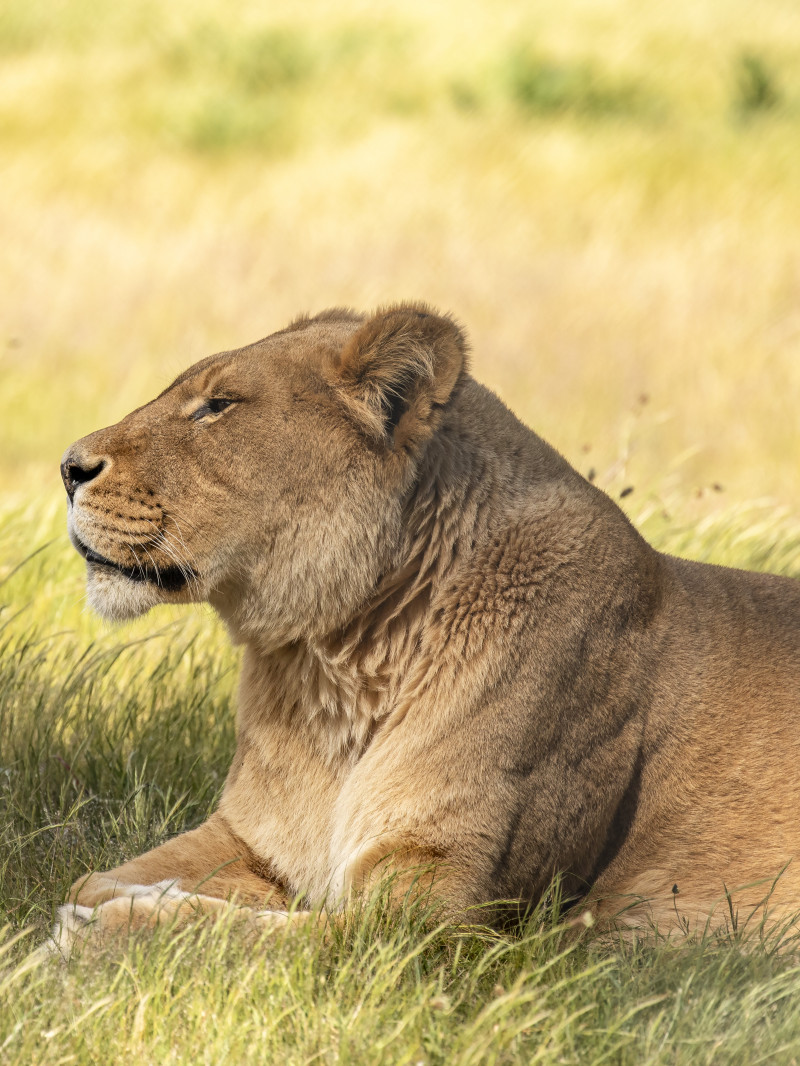 Orana Wildlife Park 2