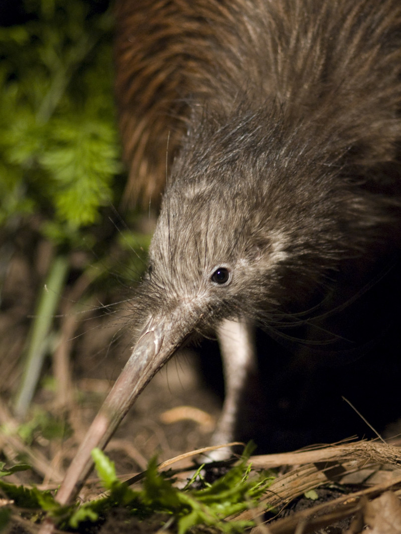 Orana Wildlife Park 5