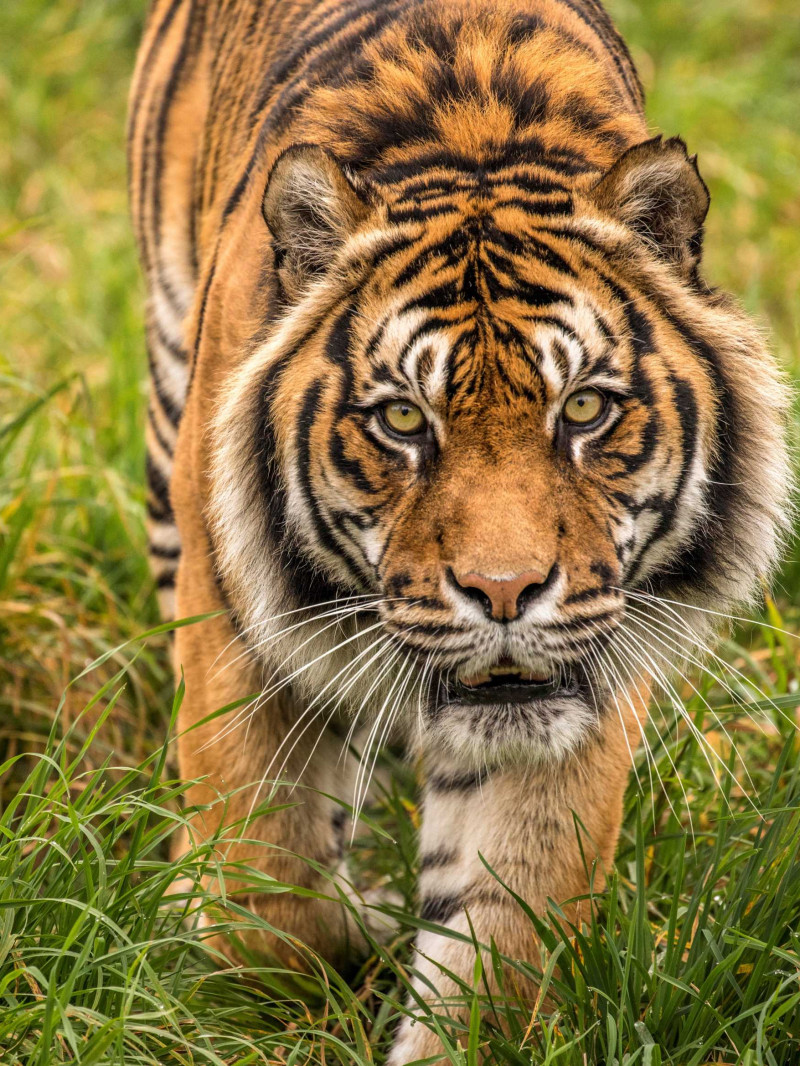 Orana Wildlife Park 8