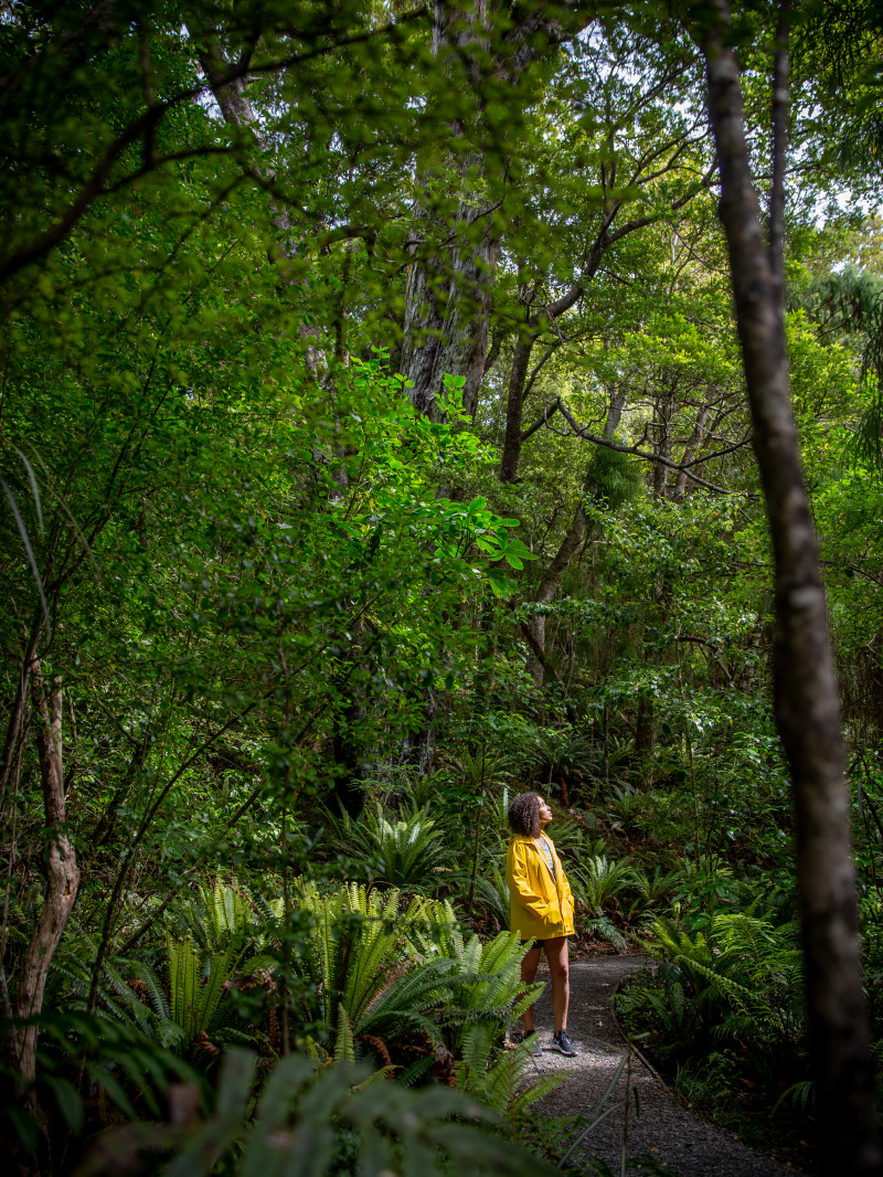 RealNZ Stewart Island Experience 1