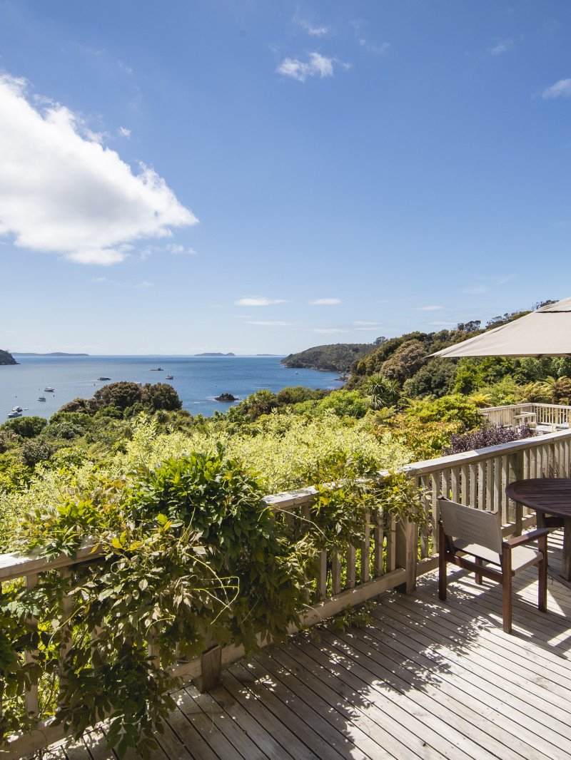 RealNZ Stewart Island Experience 3