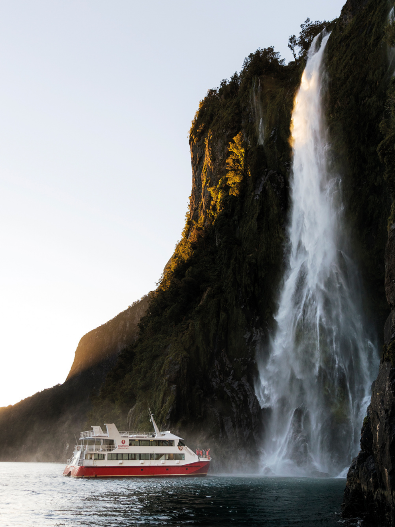 Southern Discoveries - Milford Sound Nature Cruise 1