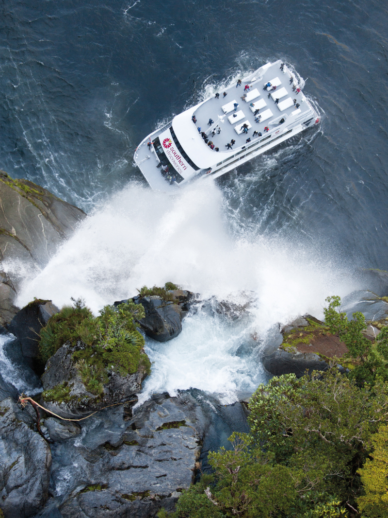Southern Discoveries - Milford Sound Nature Cruise 2